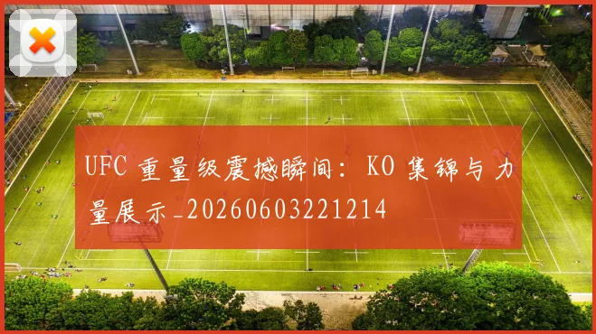 UFC 重量级震撼瞬间:KO 集锦与力量展示_20260603221214